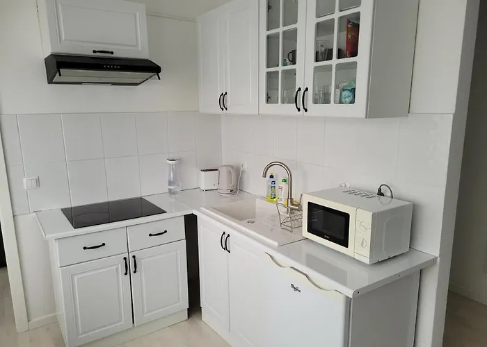 Przygodna Park * 什切青